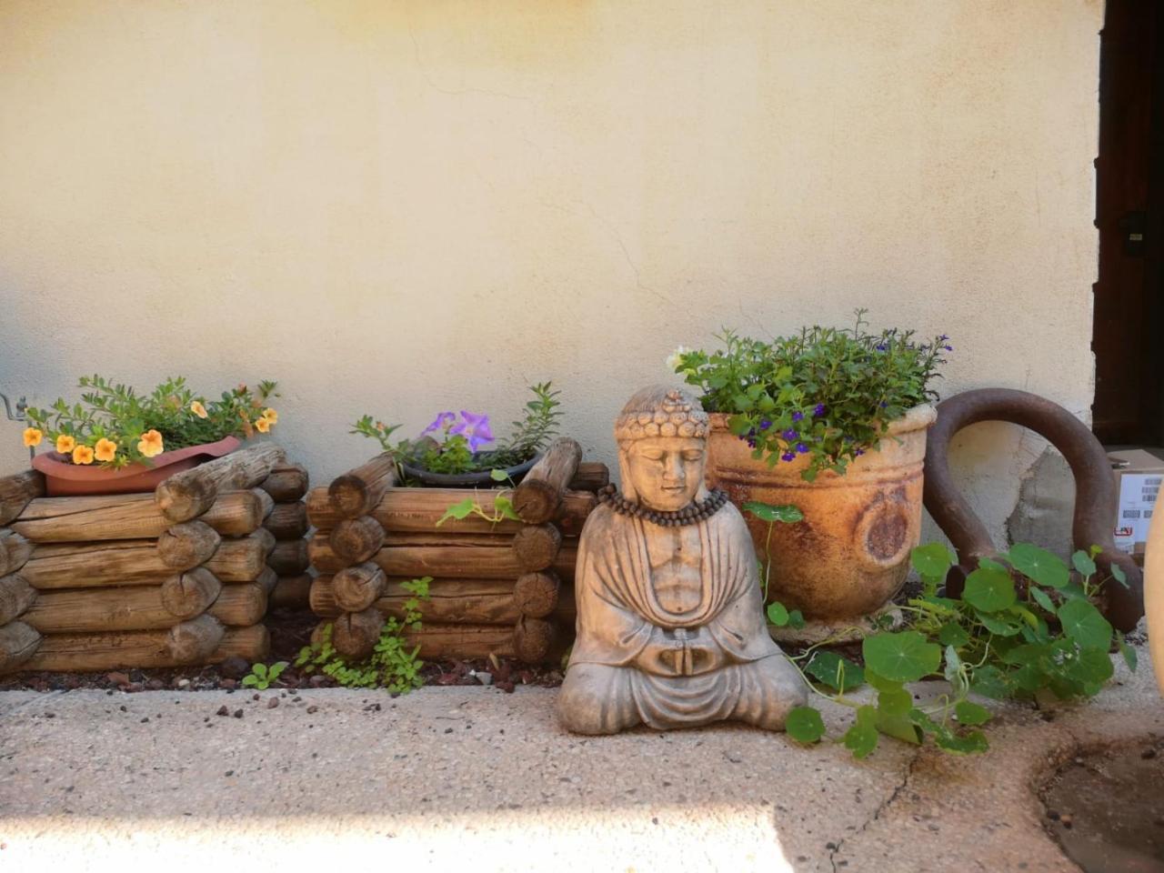 Red Sea Garden Apartment Eilat Extérieur photo